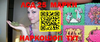 гидропоника Можайск