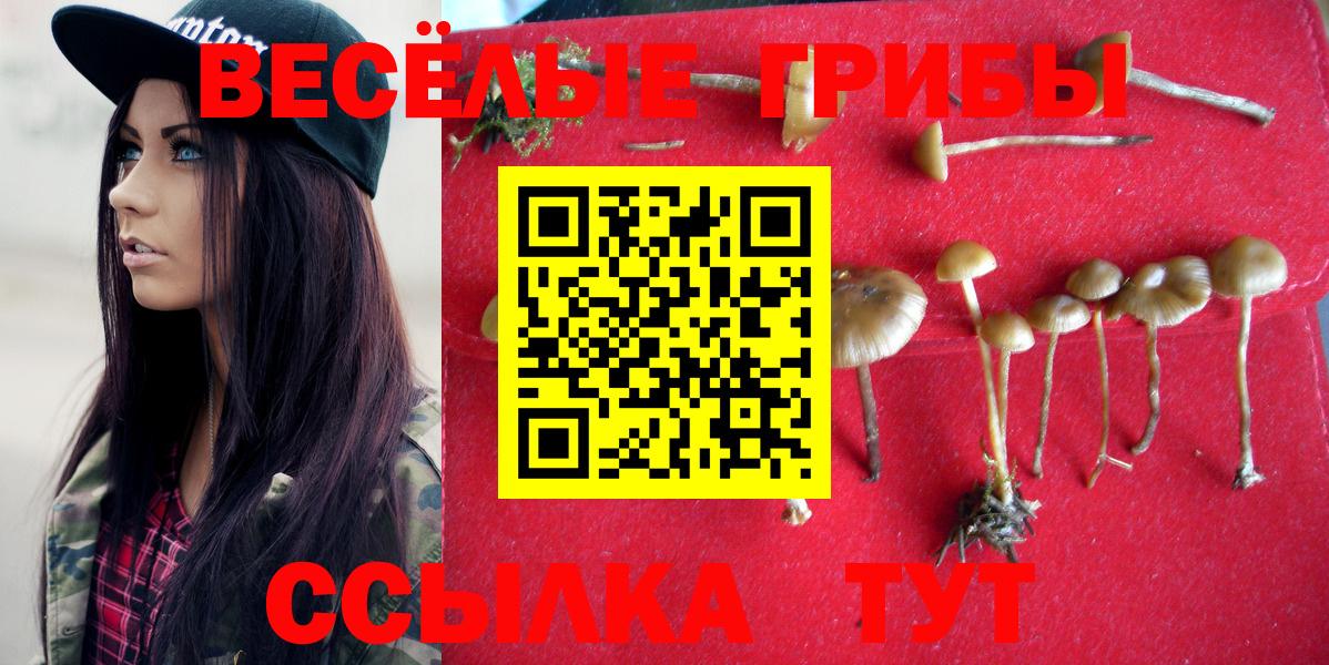 Псилоцибиновые грибы мицелий  Вход с VPN  Улан-Удэ 